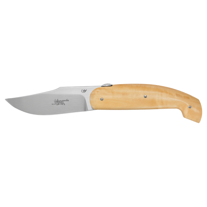 Viper Regionali - Vernante PA/BO