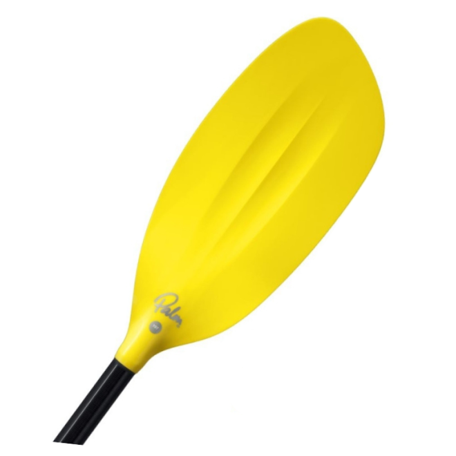 Palm Maverick G1 2-piece paddle