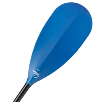 Palm Alba Paddle