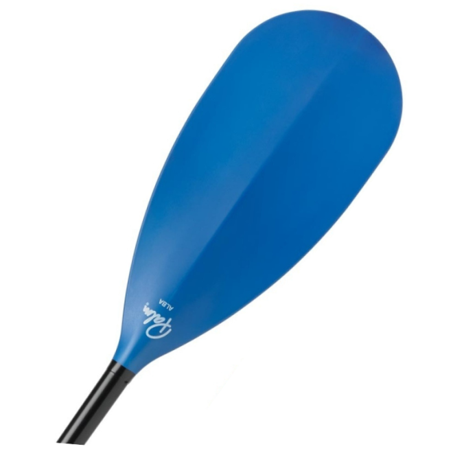 Palm Alba Paddle