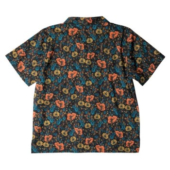 KAVU Cedar Springs 2