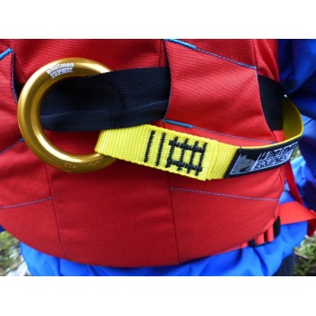 Whetman Lion Tail 1m 2