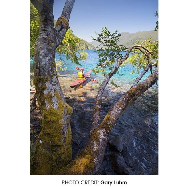 Werner Little Dipper