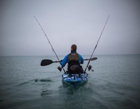 kayak-box2-homepage